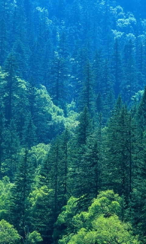 美丽自然风景山水风光手机壁纸图片