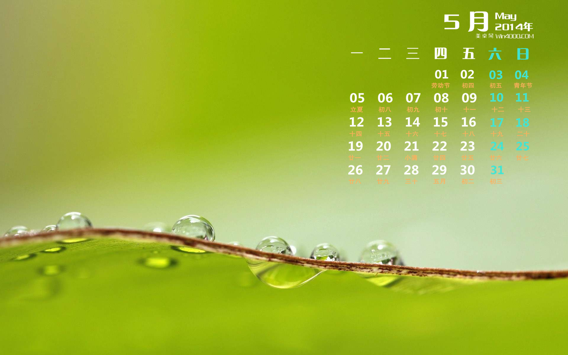 高清雨水清新护眼绿色水滴露珠高清桌面壁纸图片