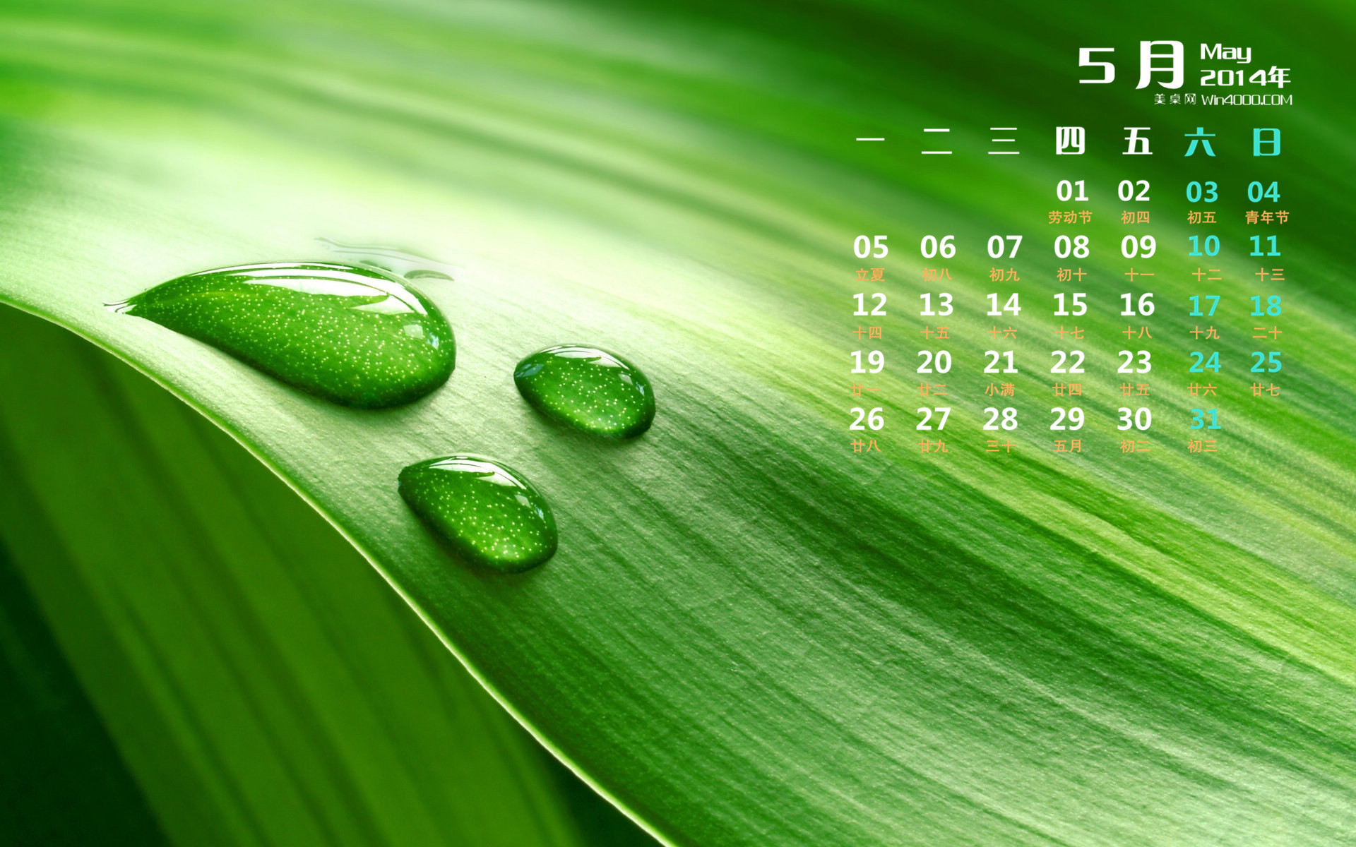 高清雨水清新护眼绿色水滴露珠高清桌面壁纸图片
