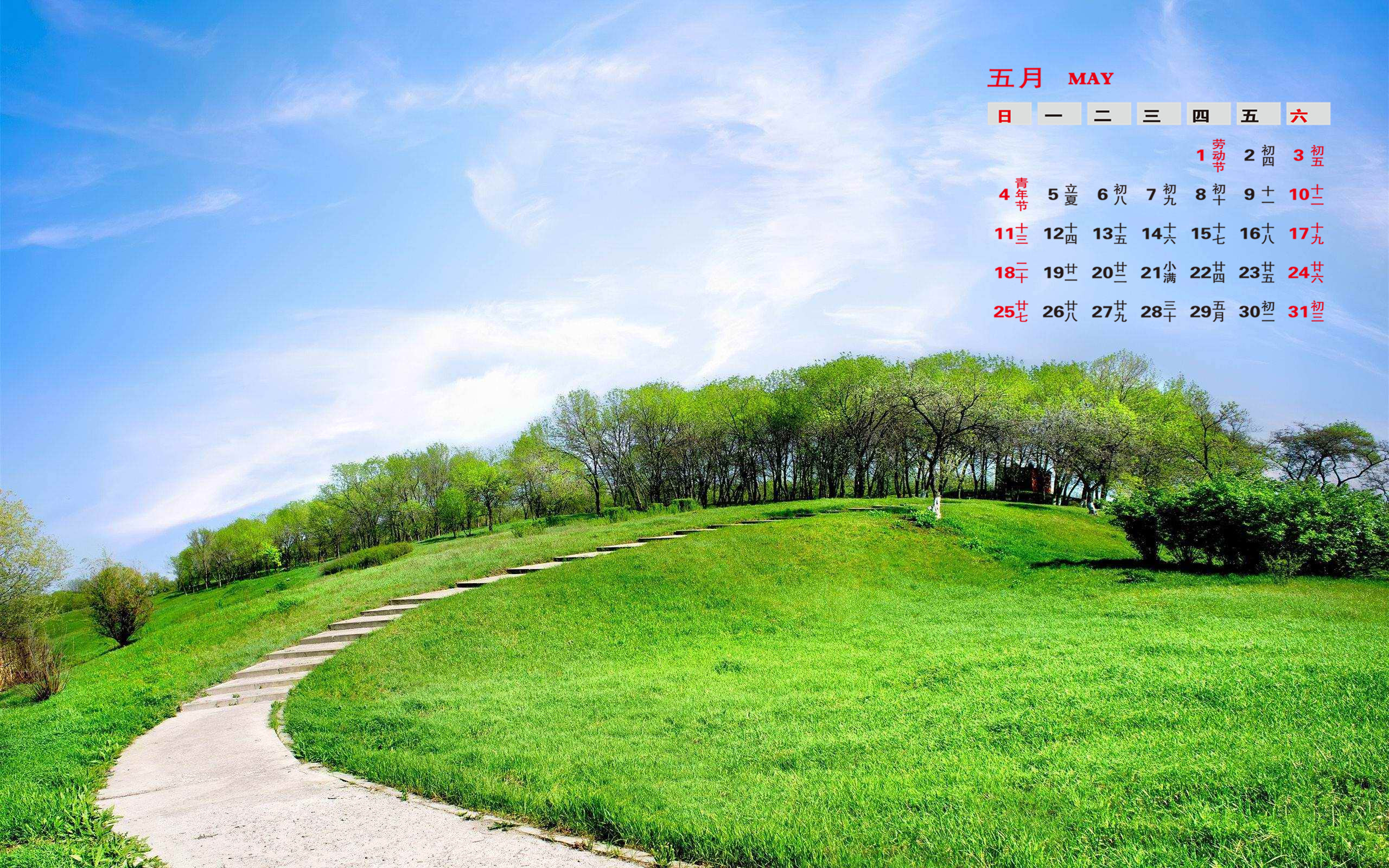 高清唯美清新绿色草地图片手机壁纸图片