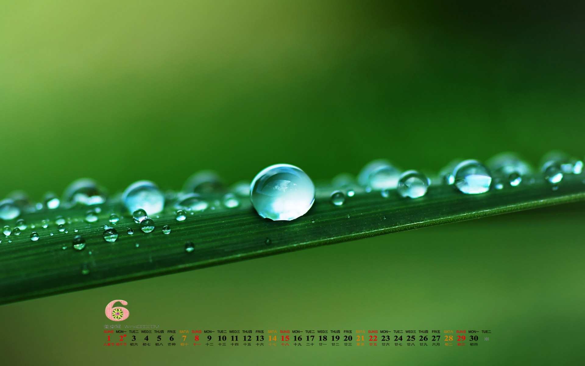 高清雨水水珠2022年6月份日历桌面壁纸护眼绿色水滴图片