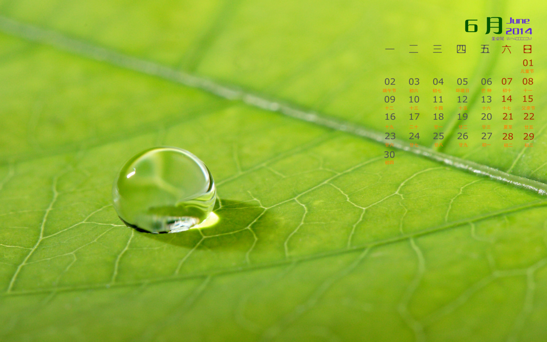 高清雨水水珠2022年6月份日历桌面壁纸护眼绿色水滴图片