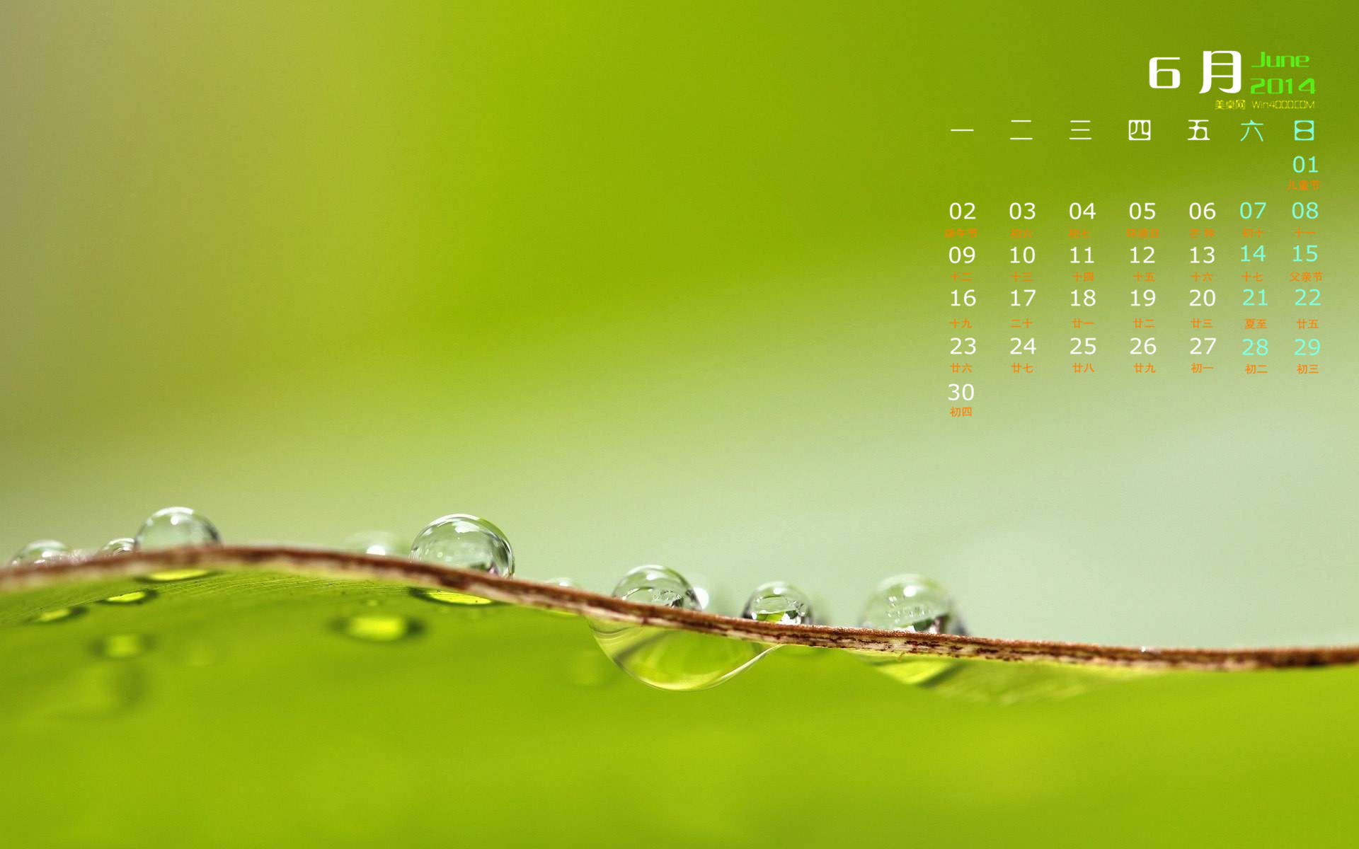 高清雨水水珠2022年6月份日历桌面壁纸护眼绿色水滴图片