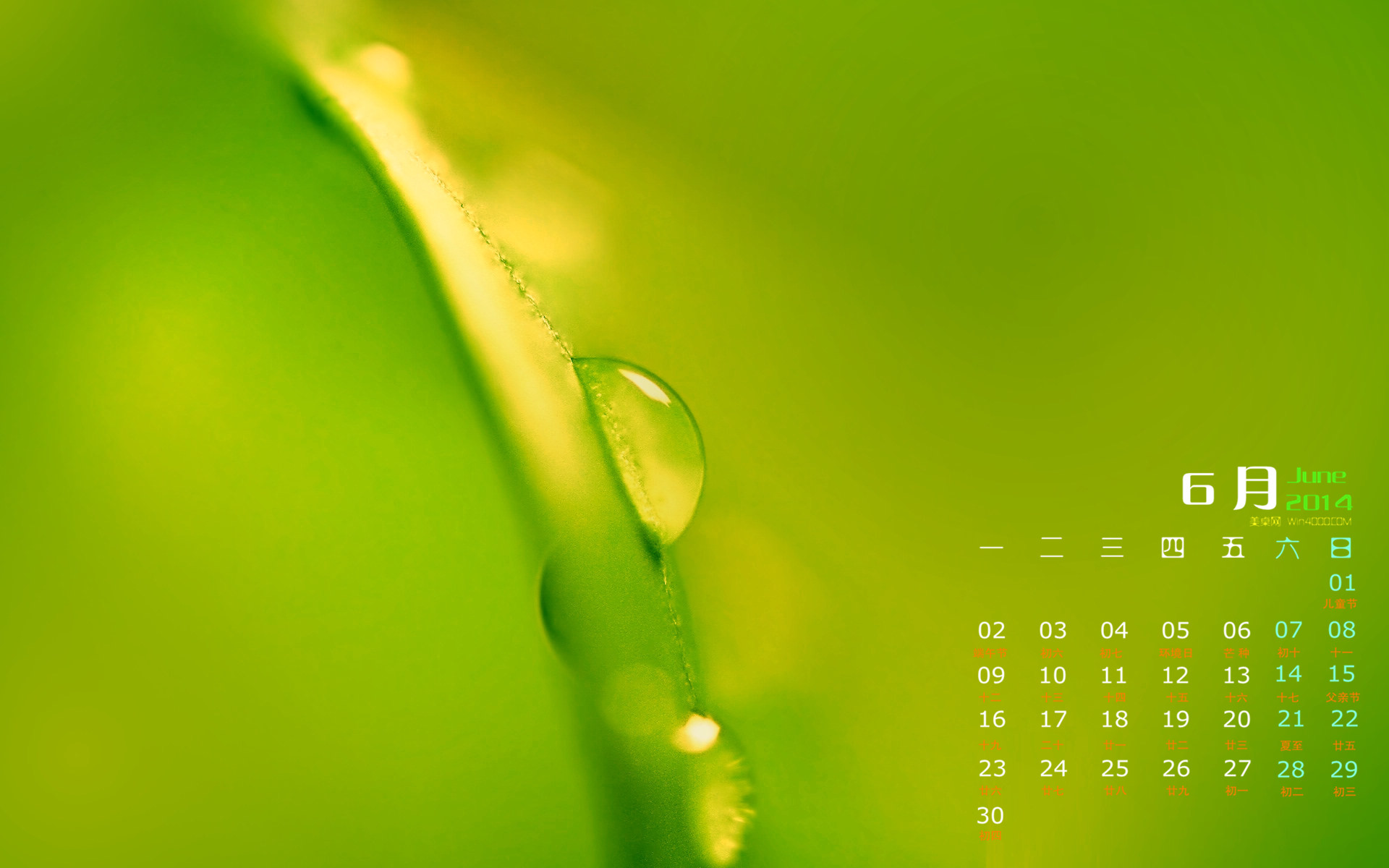 高清雨水水珠2022年6月份日历桌面壁纸护眼绿色水滴图片