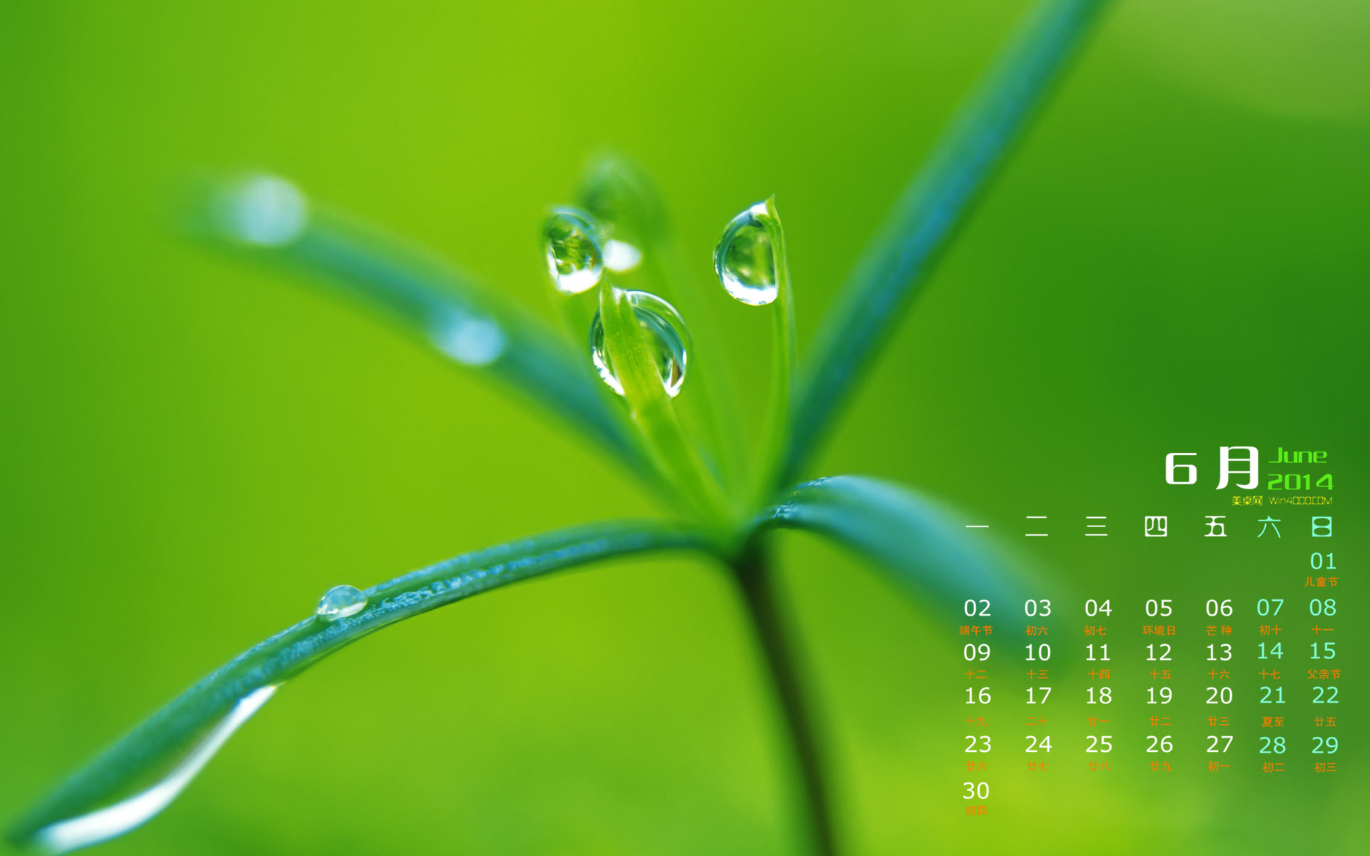 高清雨水水珠2022年6月份日历桌面壁纸护眼绿色水滴图片