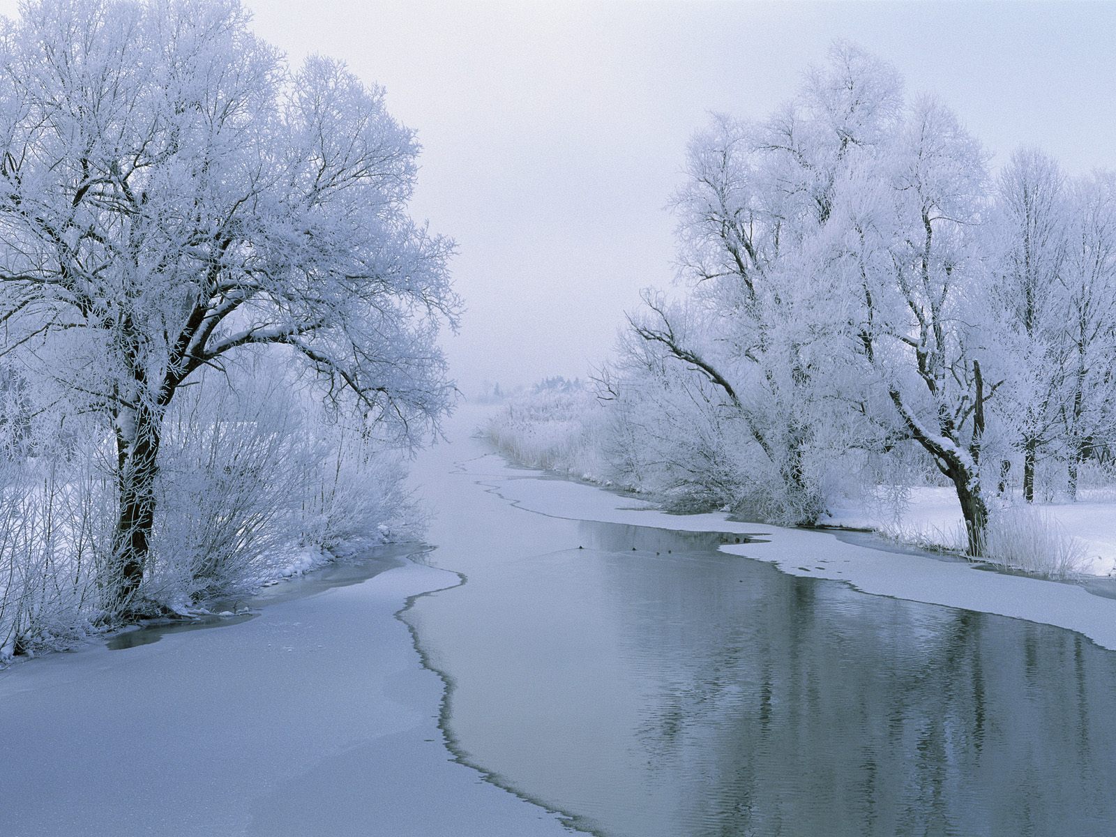 下雪图片