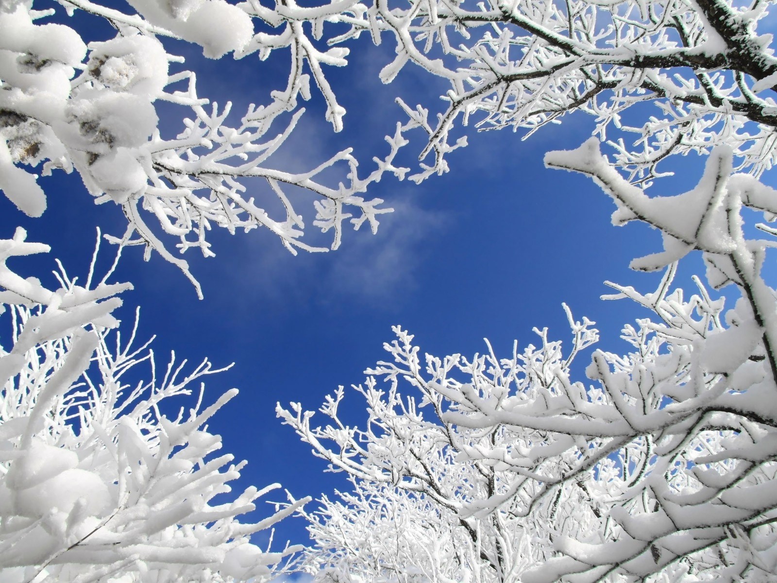 下雪图片