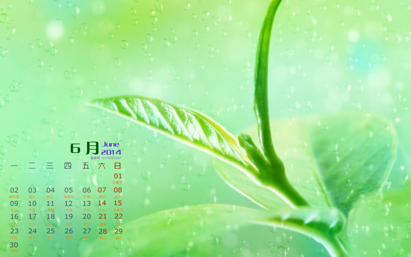 高清清新养眼的绿叶手机壁纸图片