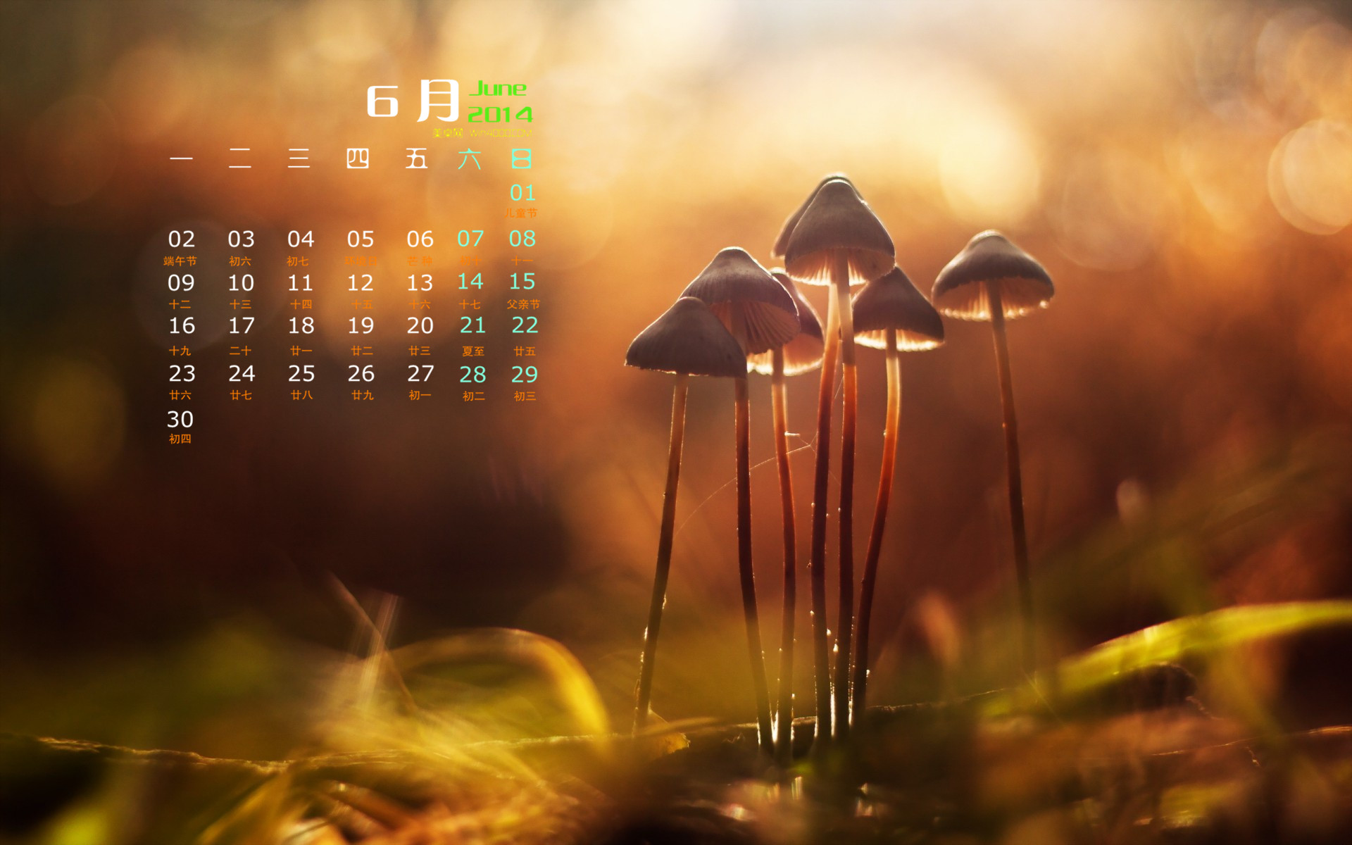 2014年11月日历壁纸唯美好看的大自然森林公园风景图片(一)图片