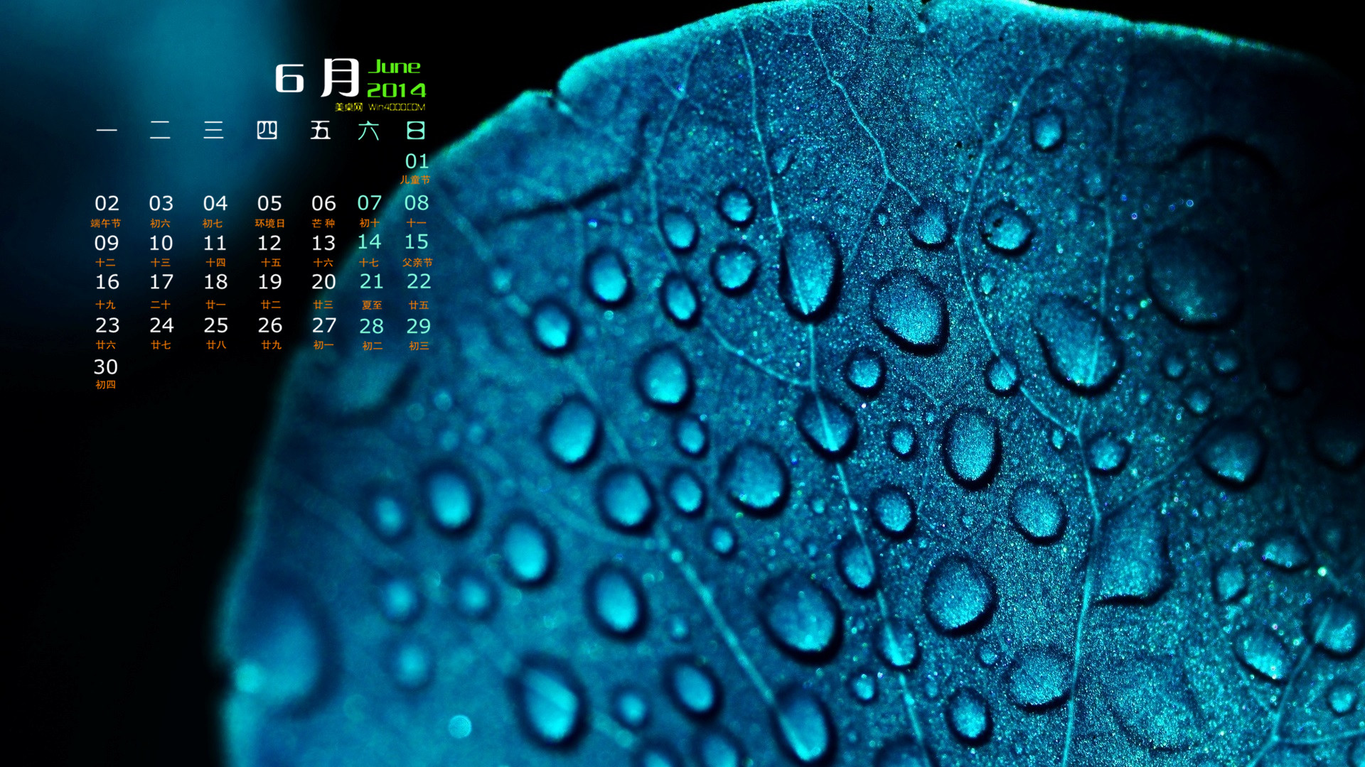 高清森林树木清新护眼夏天绿色背景安卓手机壁纸图片