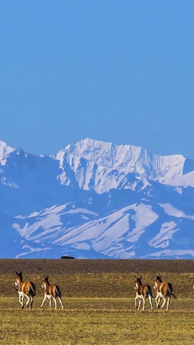 高清美景唯美高清高原大自然风景图片手机壁纸图片
