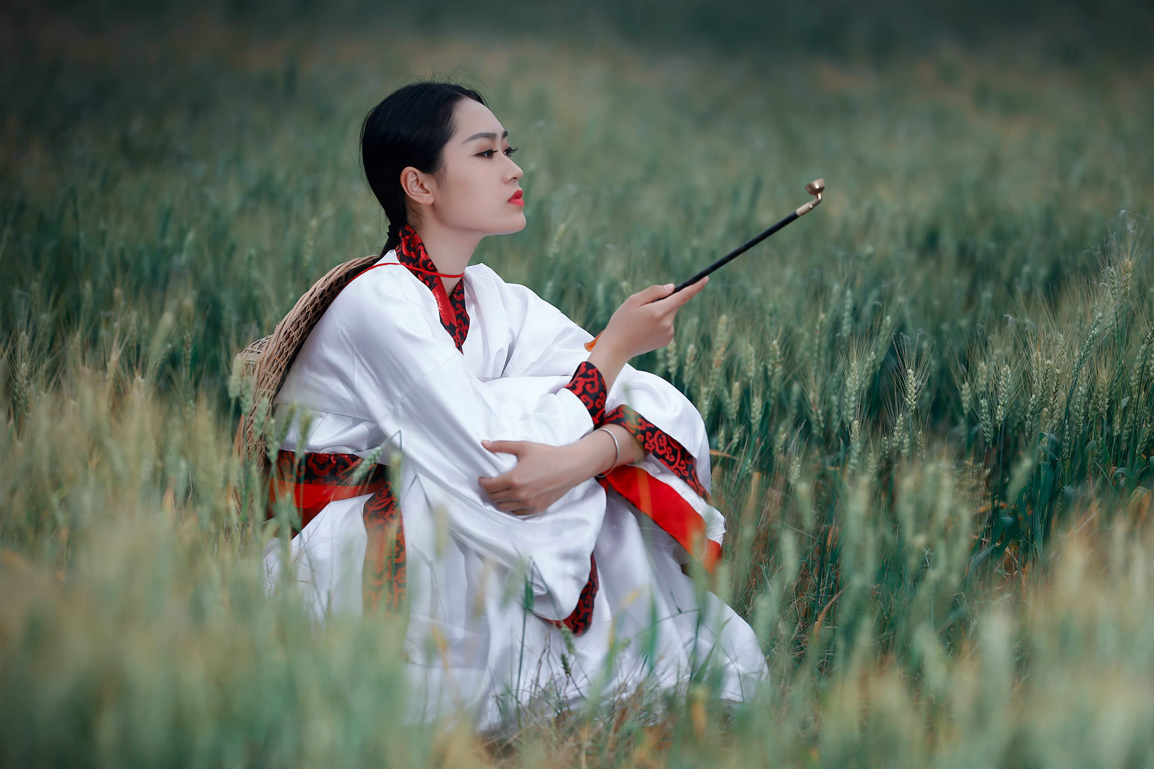 麦田图片