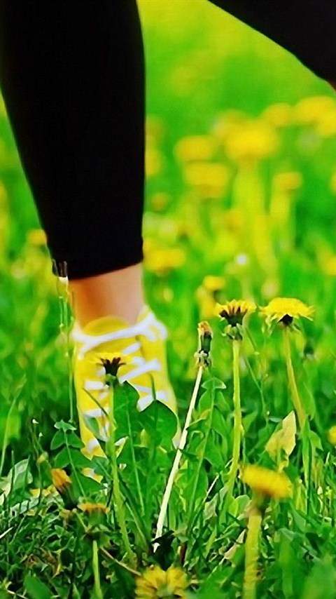 高清唯美清新绿色草地图片手机壁纸图片
