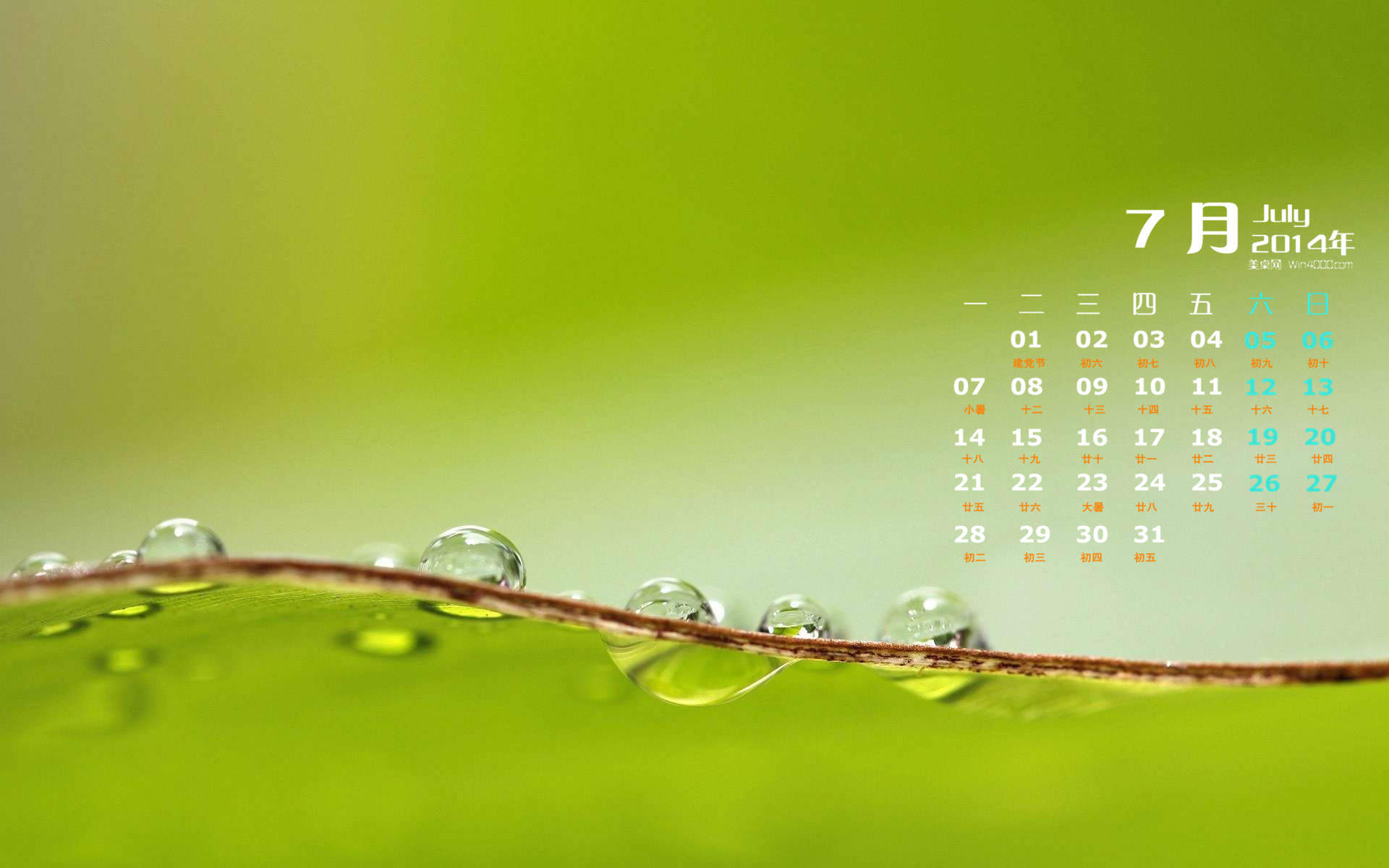 高清雨水水滴精选绿叶水滴绿色护眼桌面壁纸下载第一辑图片