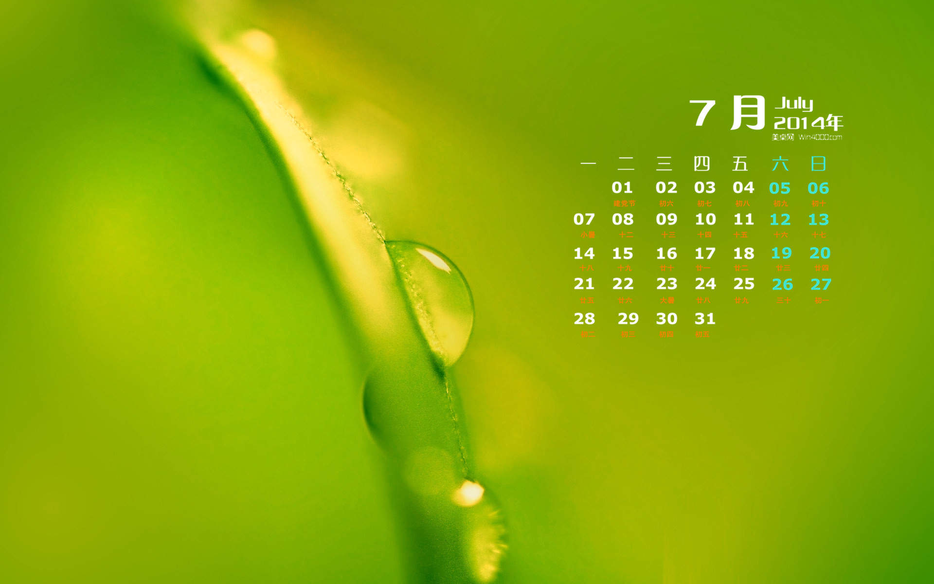 高清雨水水滴精选绿叶水滴绿色护眼桌面壁纸下载第一辑图片