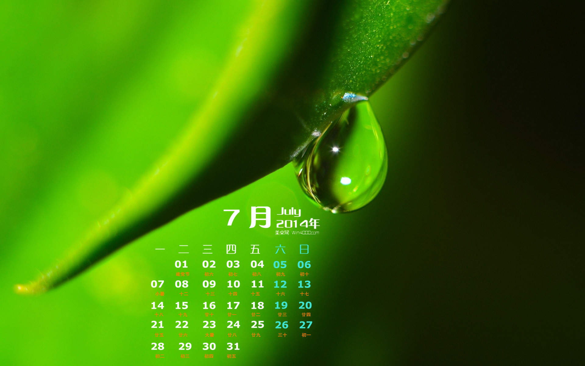 高清雨水水滴精选绿叶水滴绿色护眼桌面壁纸下载第一辑图片