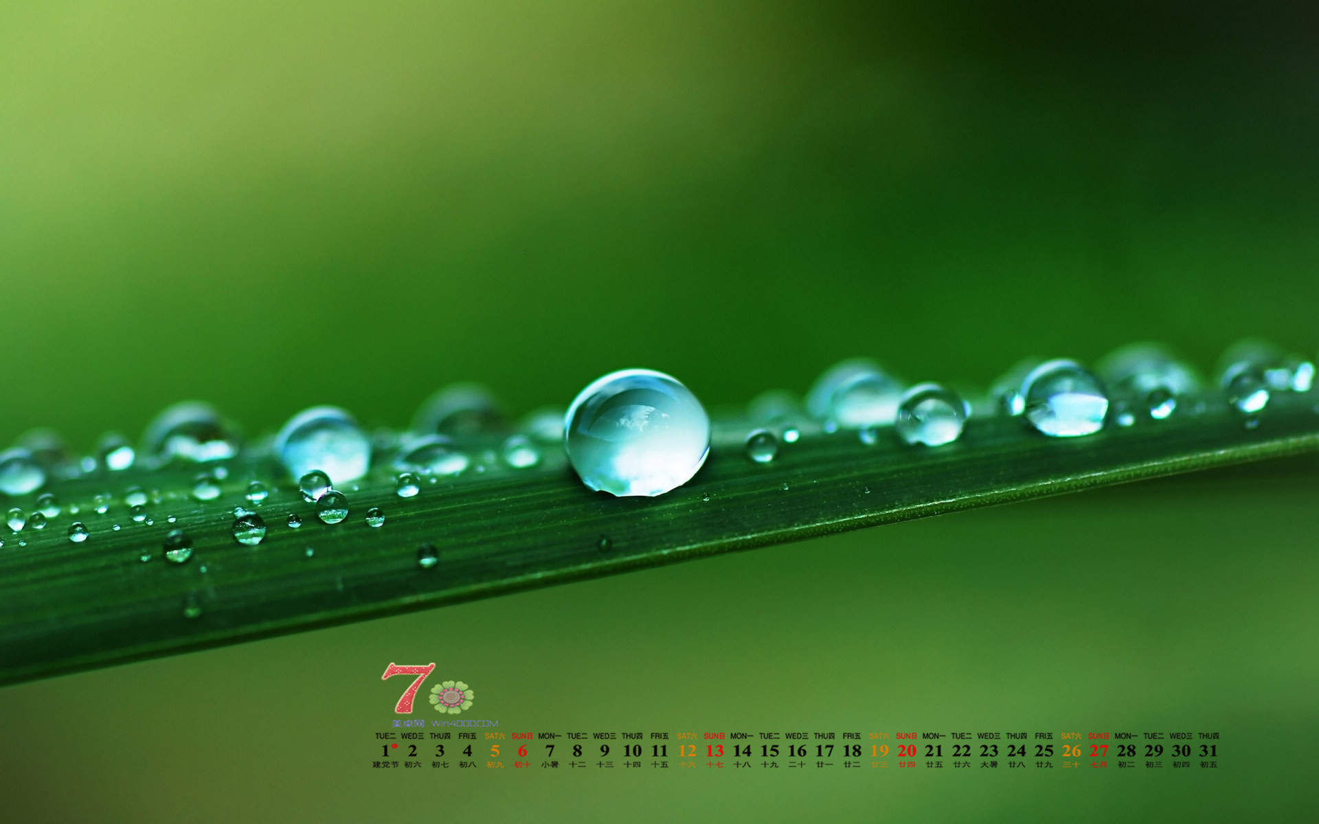 高清雨水水滴精选绿叶水滴绿色护眼桌面壁纸下载第一辑图片