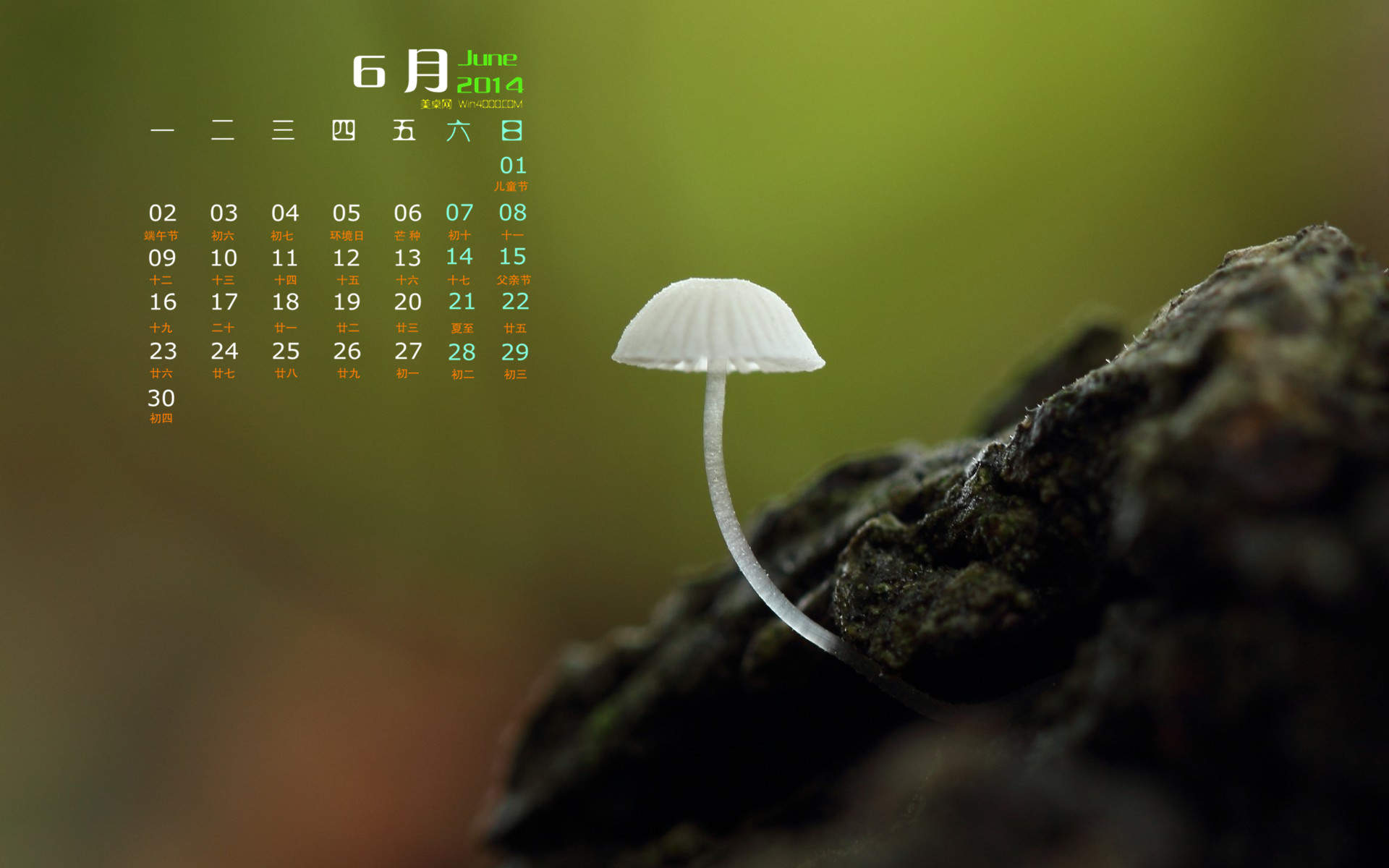 2014年11月日历壁纸唯美好看的大自然森林公园风景图片(一)图片