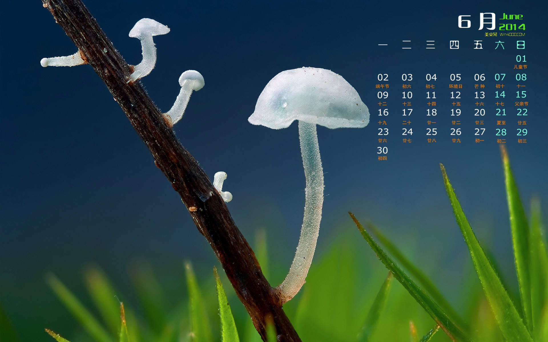 2014年11月日历壁纸唯美好看的大自然森林公园风景图片(一)图片