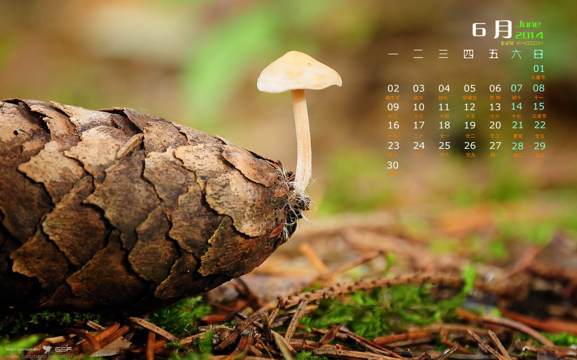 2014年11月日历壁纸唯美好看的大自然森林公园风景图片(一)图片