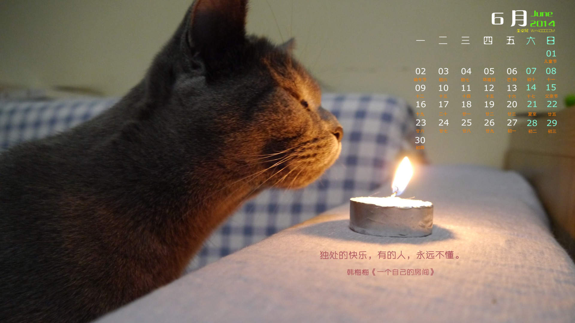 卖萌可爱猫咪图片安卓手机壁纸图片