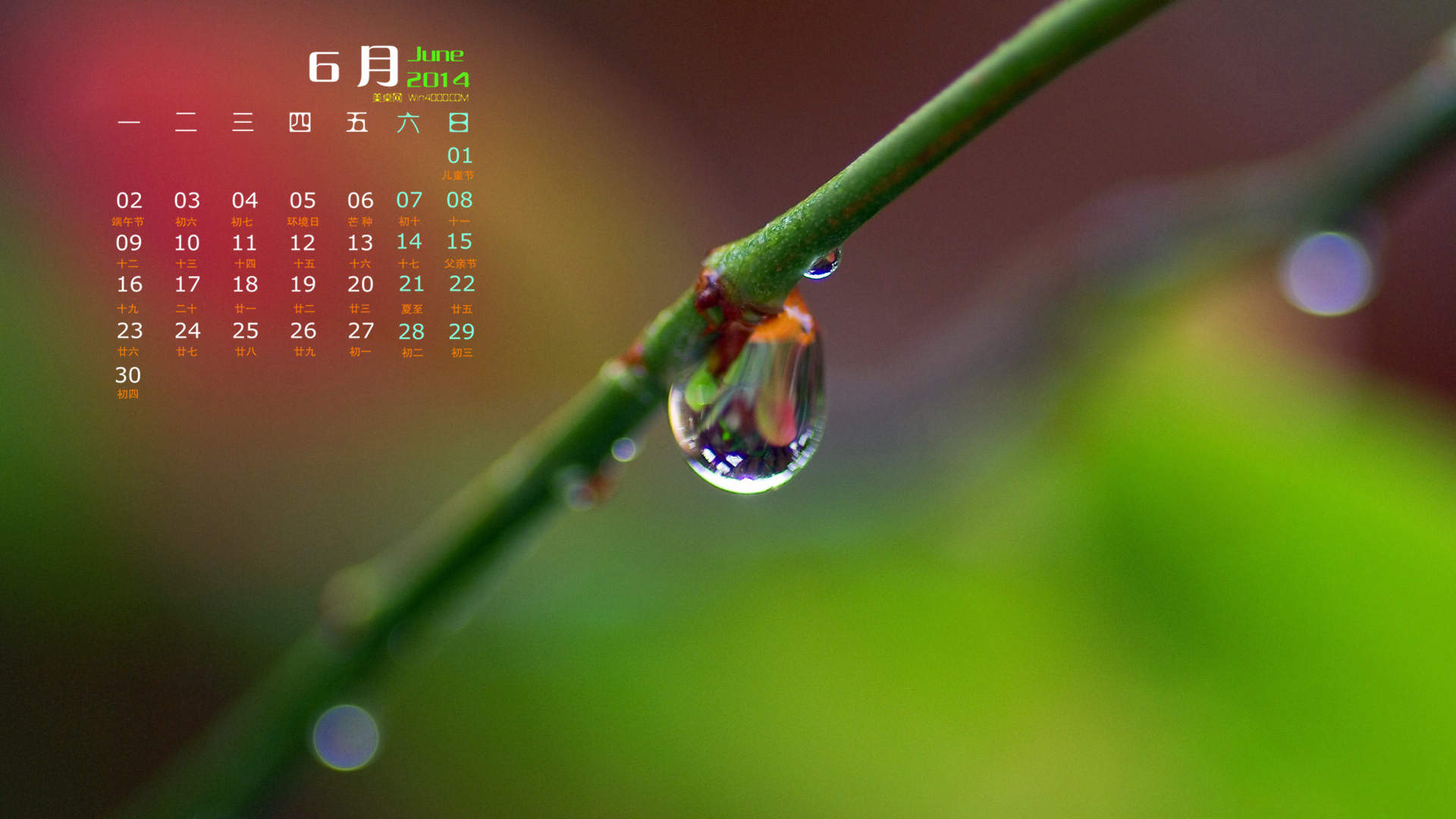 绿叶图片图片