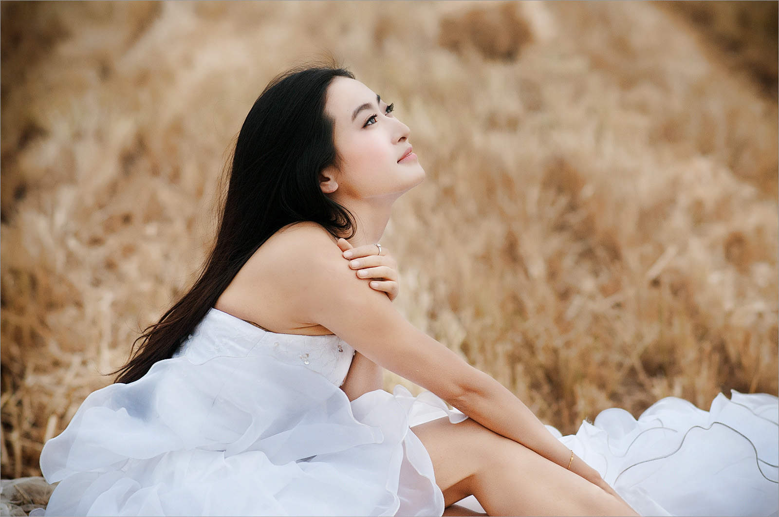 麦田图片