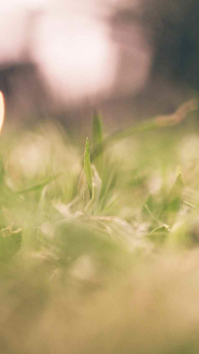 苹果手机壁纸图片