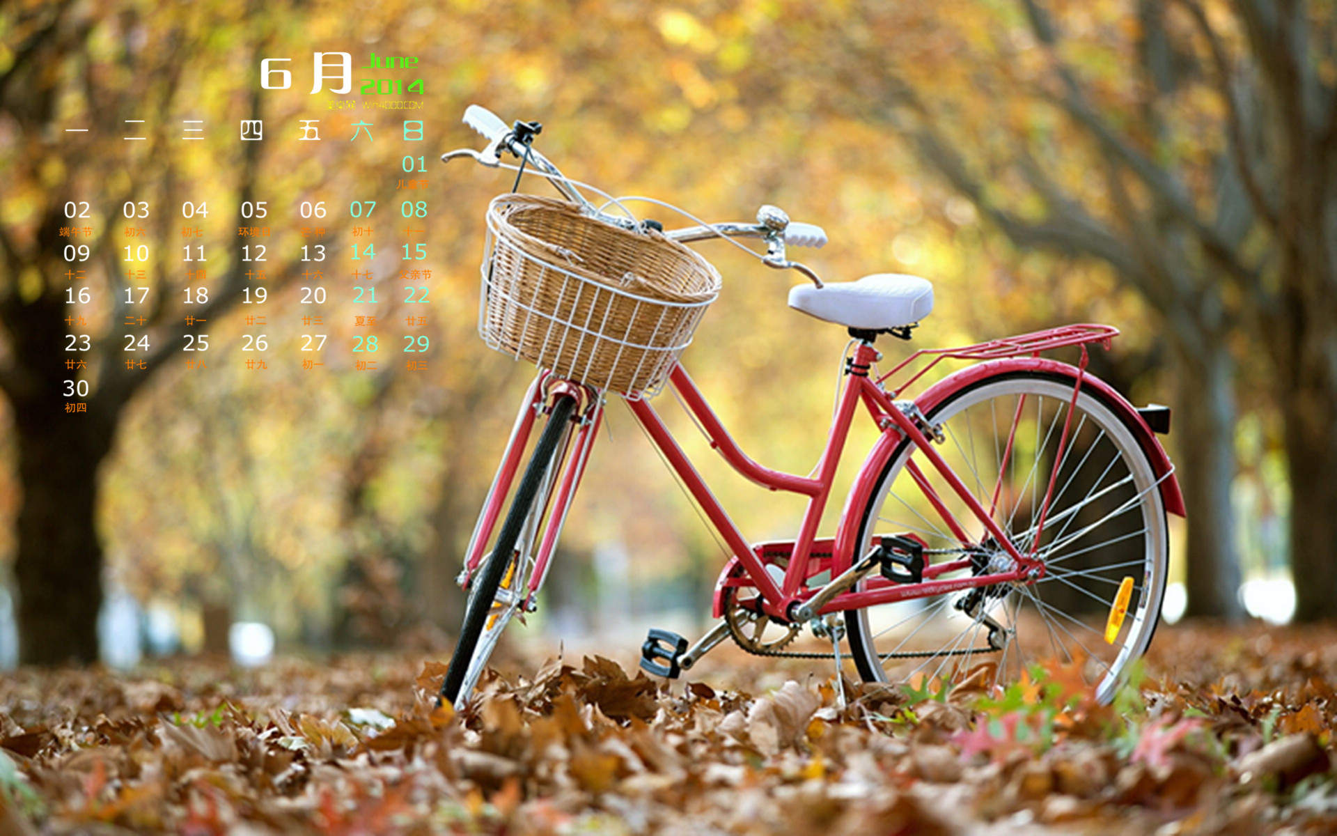 2022日历壁纸秋季小清新唯美落叶高清特写(一)图片