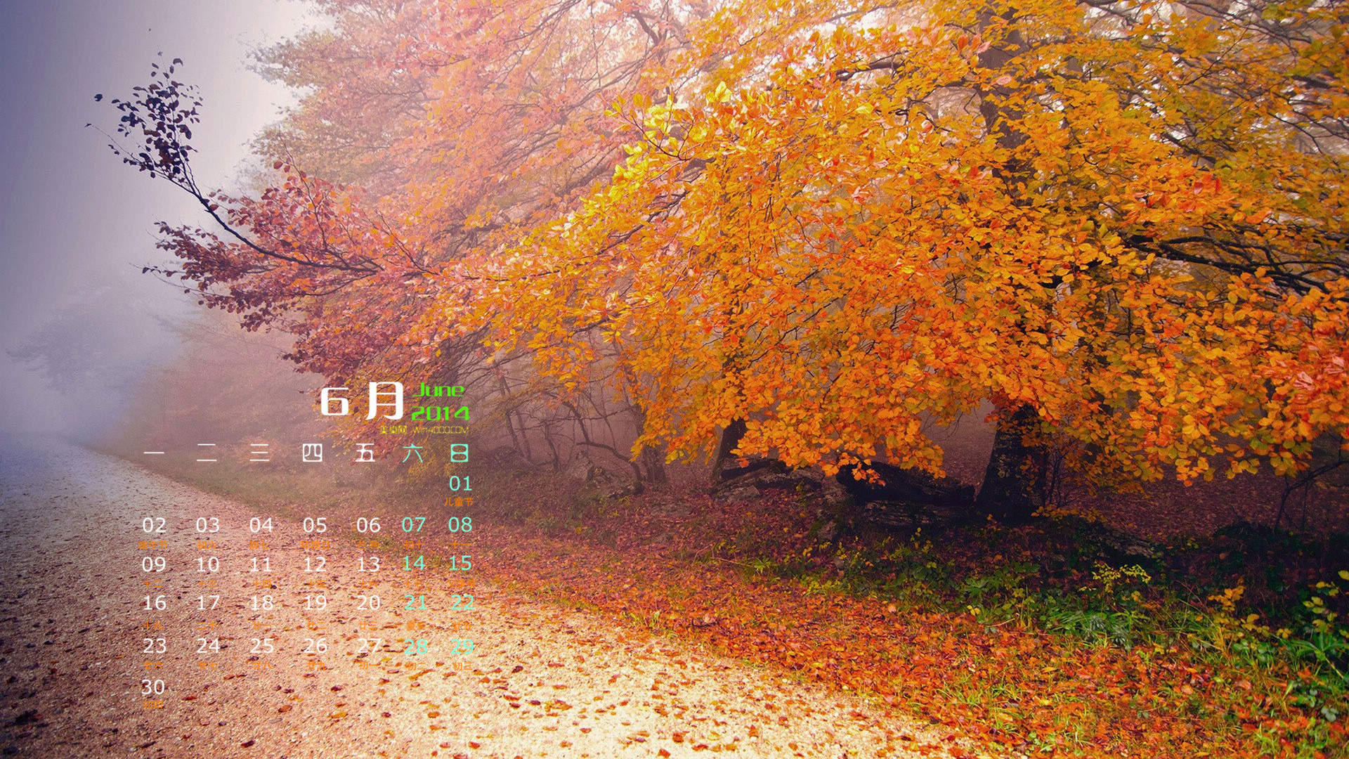 2014年11月日历壁纸唯美好看的大自然森林公园风景图片(一)图片