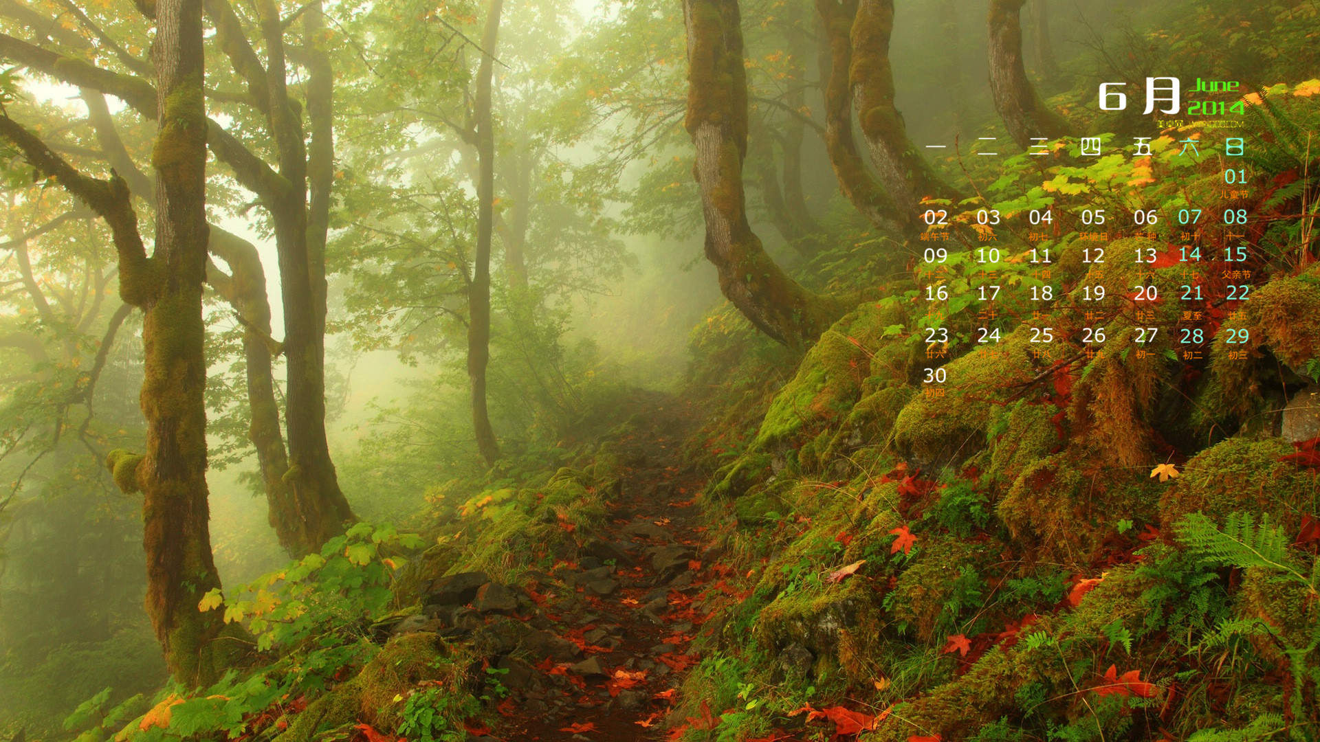 2014年11月日历壁纸唯美好看的大自然森林公园风景图片(一)图片