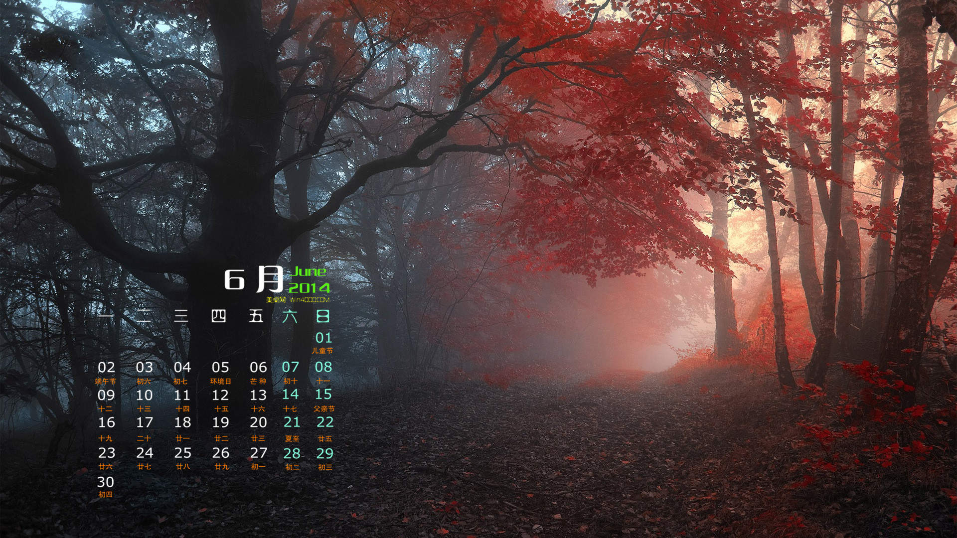 2014年11月日历壁纸唯美好看的大自然森林公园风景图片(一)图片