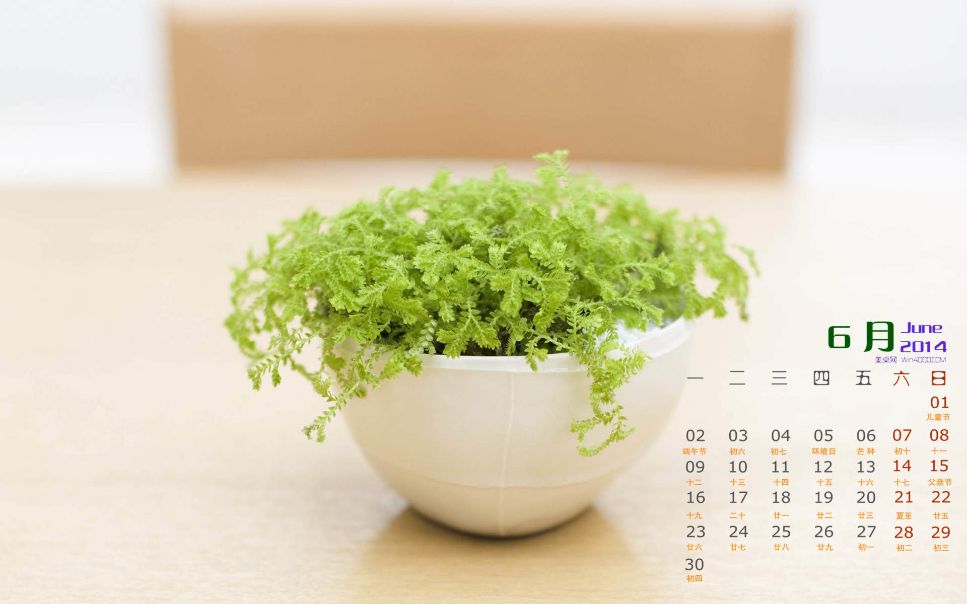 极简小清新素雅花朵花瓶盆栽唯美意境桌面壁纸第三辑图片