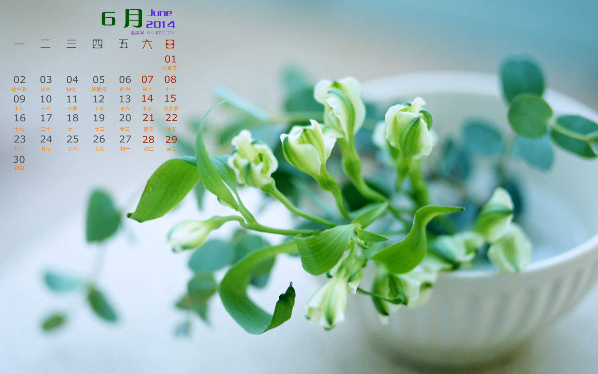 2016年7月日历唯美盆栽植物壁纸图片