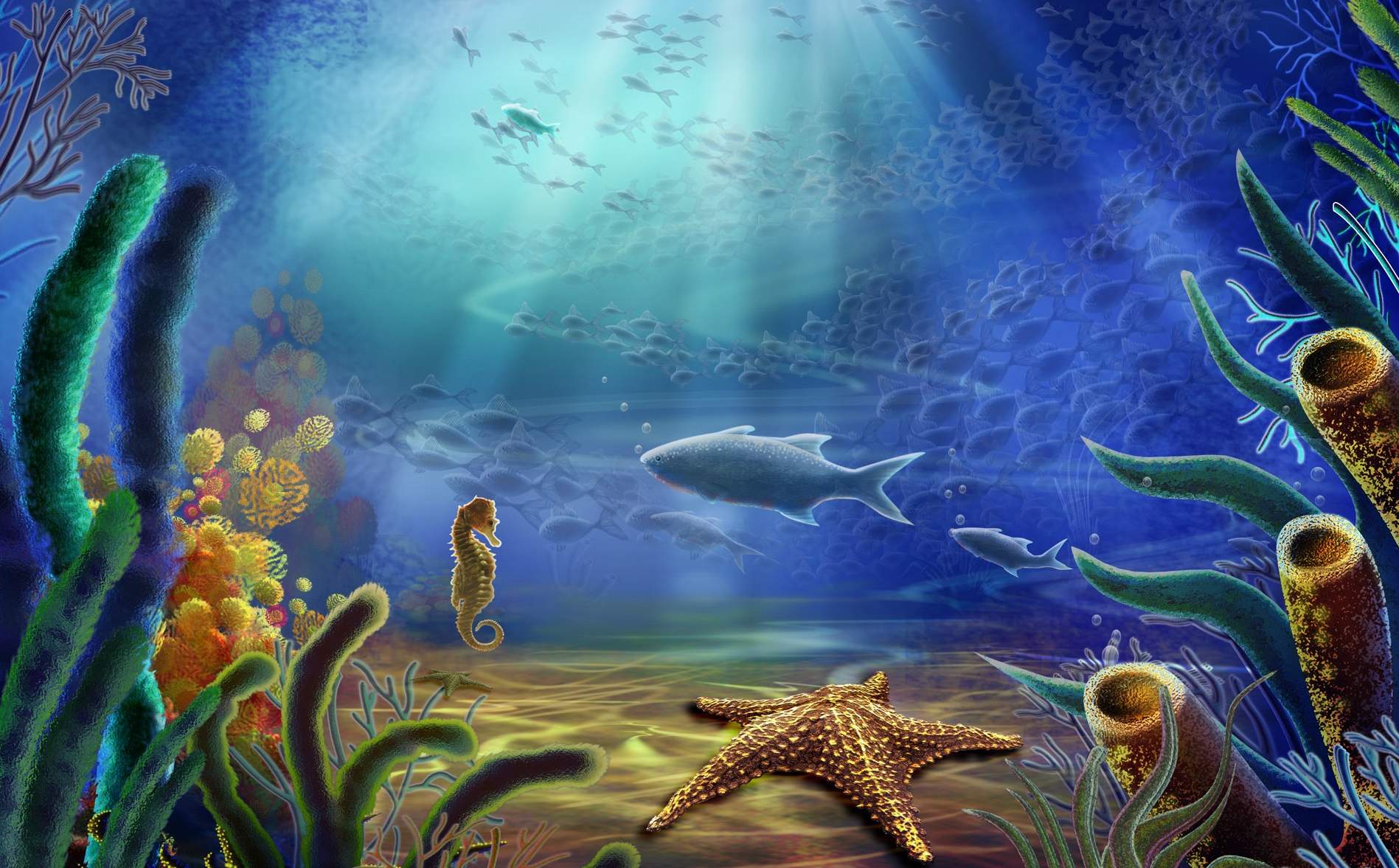 高清美景神秘的海底生物美丽水母图片手机壁纸图片