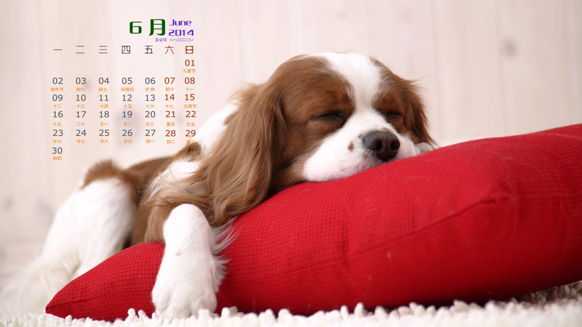 2014年7月日历壁纸可爱卡通图片狗狗图片