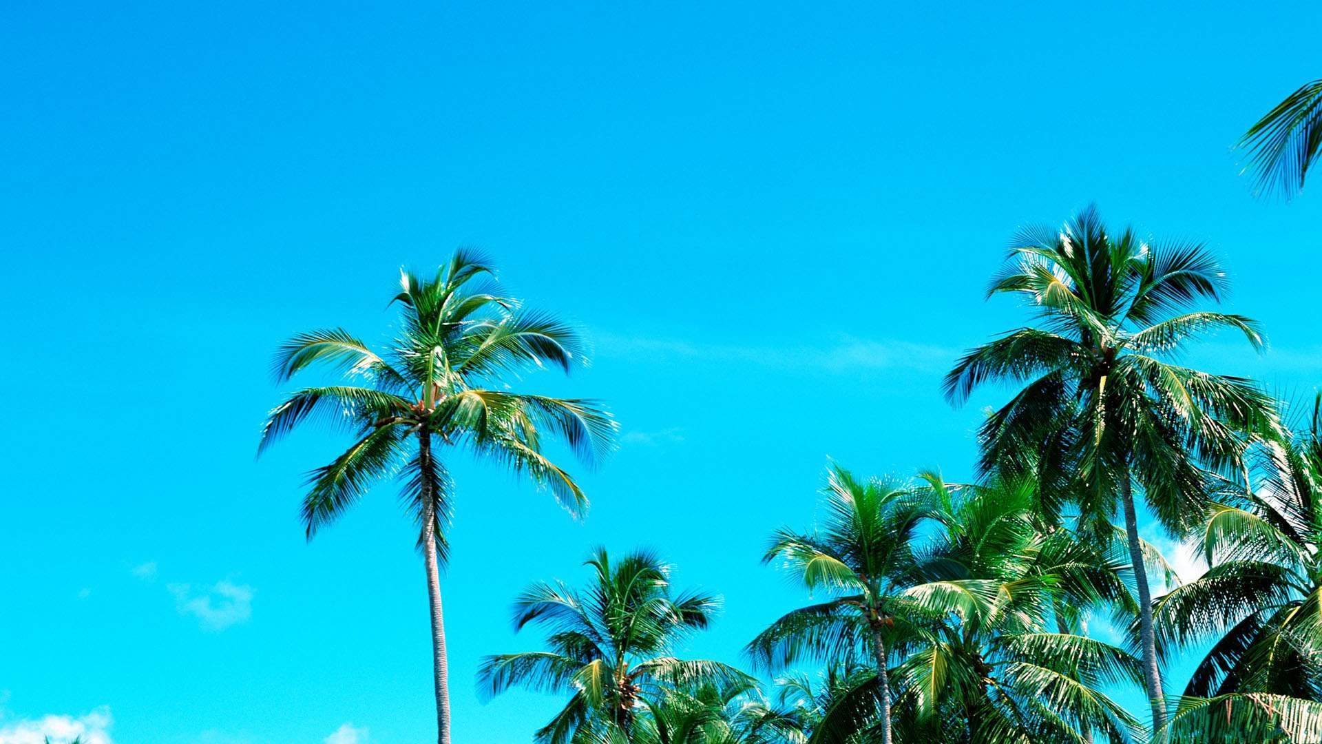 马尔代夫图片