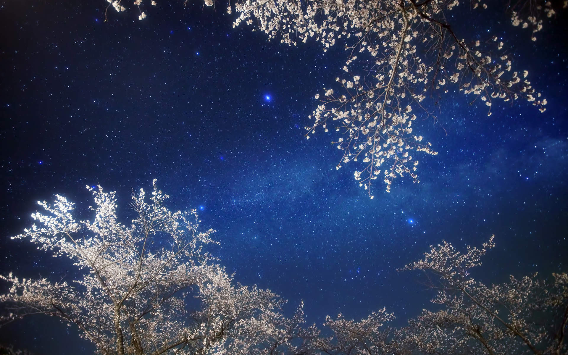 电影《你的名字》唯美意境星空手机壁纸下载图片