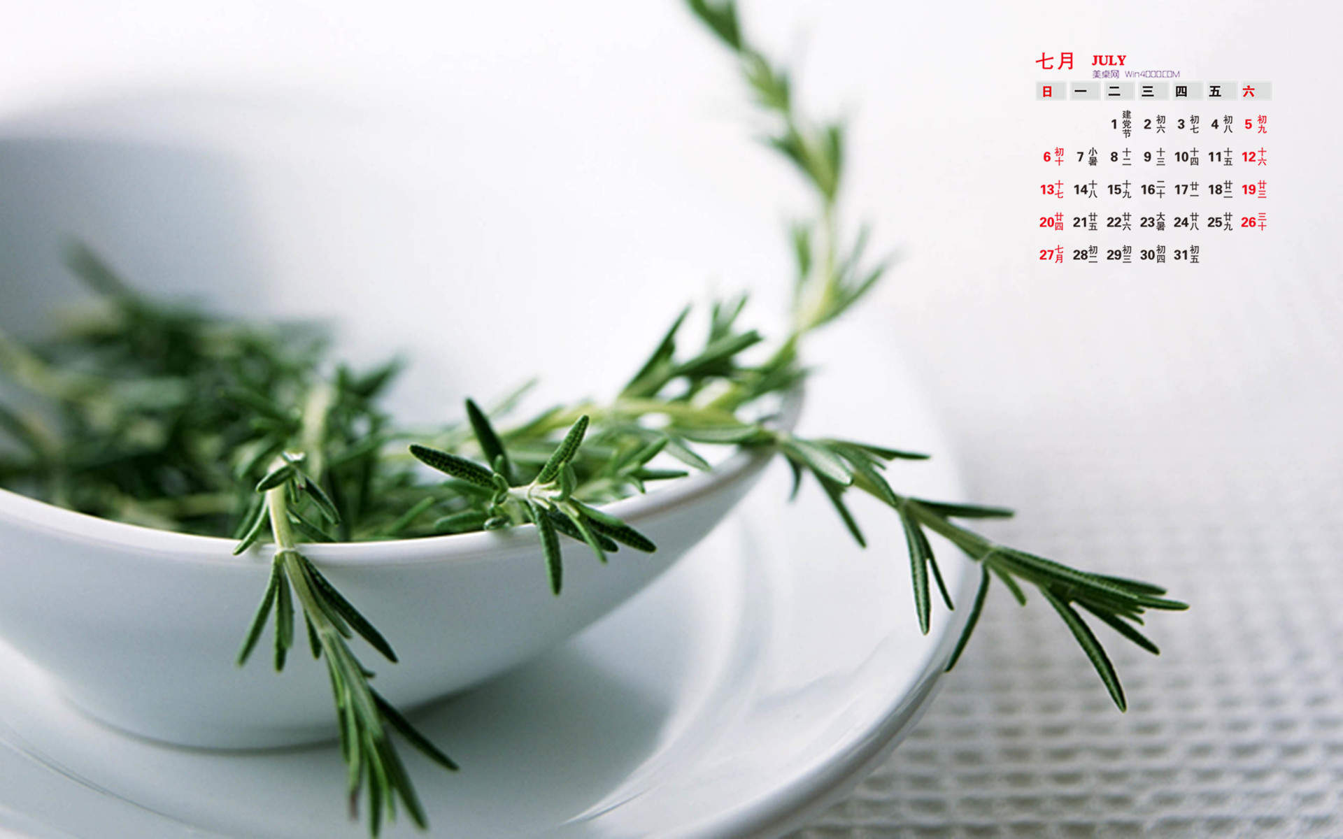 极简小清新素雅花朵花瓶盆栽唯美意境桌面壁纸第三辑图片