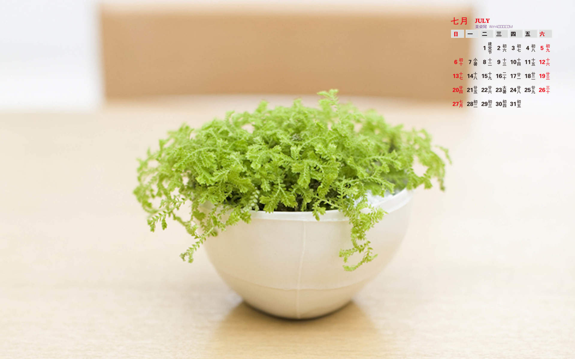 2016年8月日历盆栽风景桌面壁纸第一辑图片