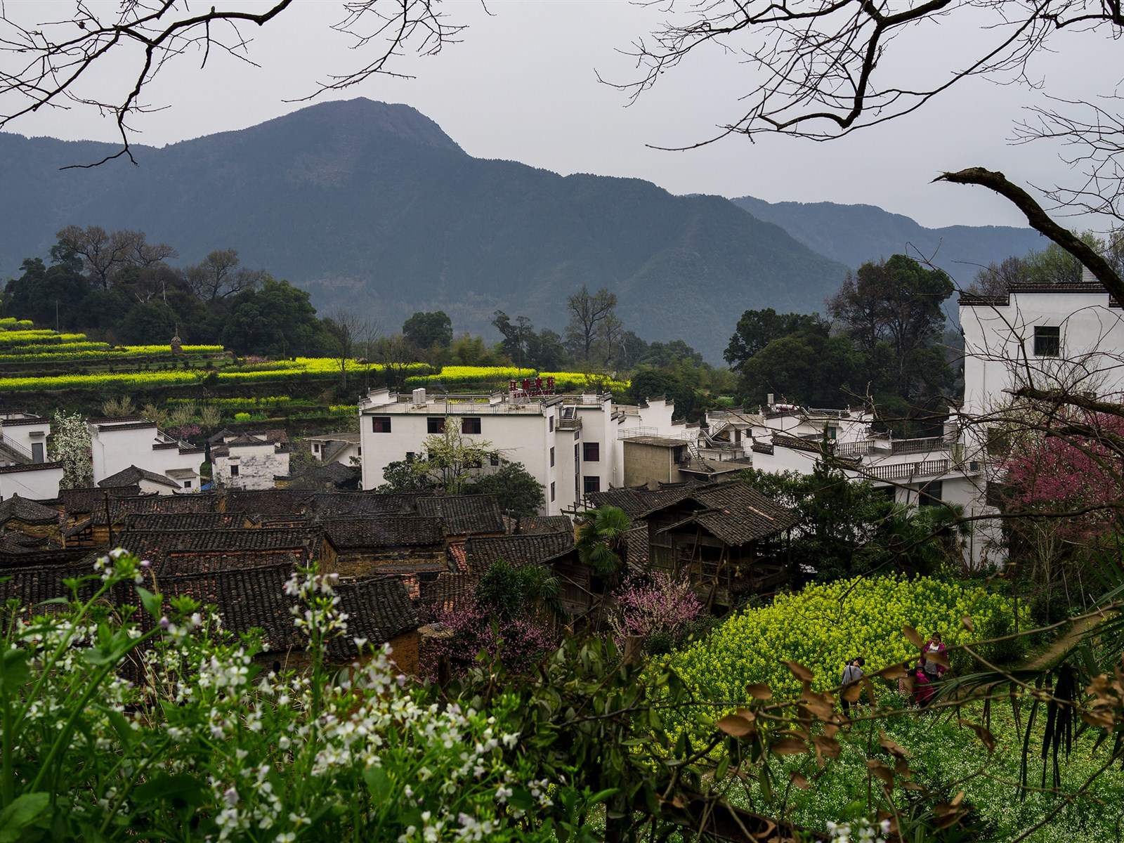 优美山水大自然风景宽屏桌面壁纸图片