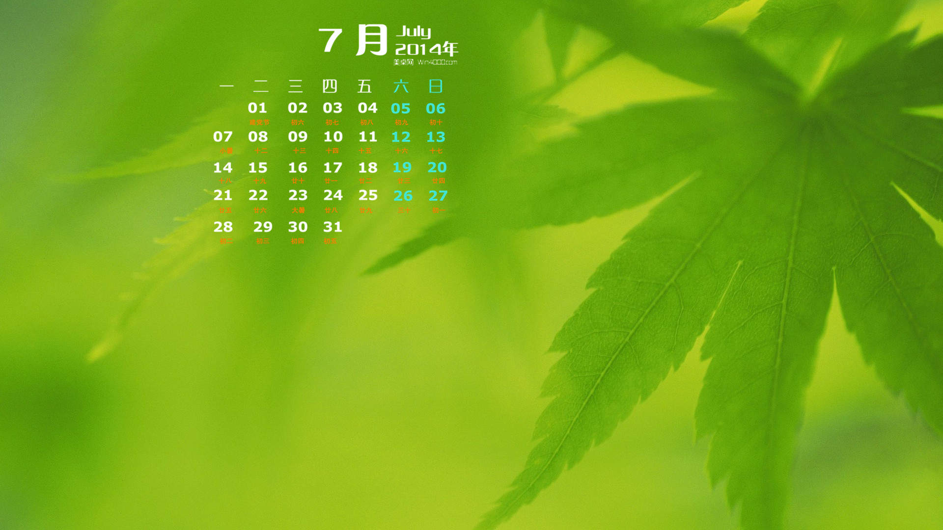 树叶的脉络绿色护眼手机壁纸图片