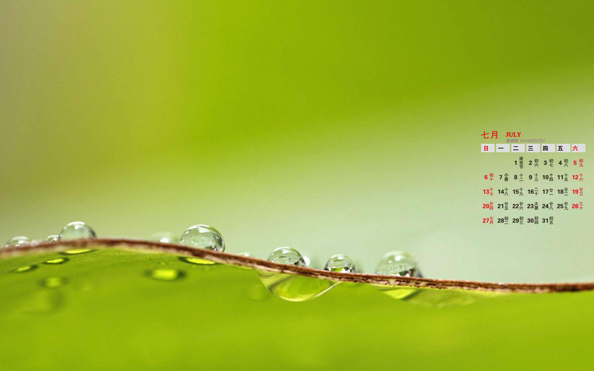 高清雨水水滴精选绿叶水滴绿色护眼桌面壁纸下载第一辑图片