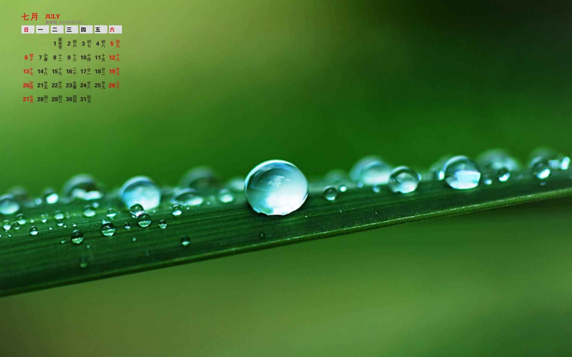 高清雨水水滴精选绿叶水滴绿色护眼桌面壁纸下载第一辑图片