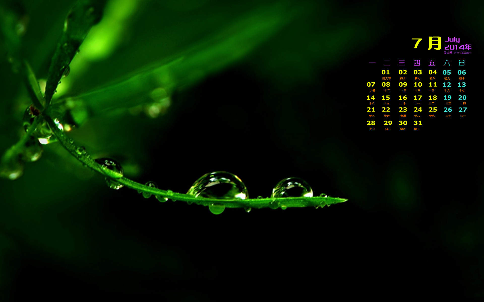 高清雨水水滴精选绿叶水滴绿色护眼桌面壁纸下载第一辑图片