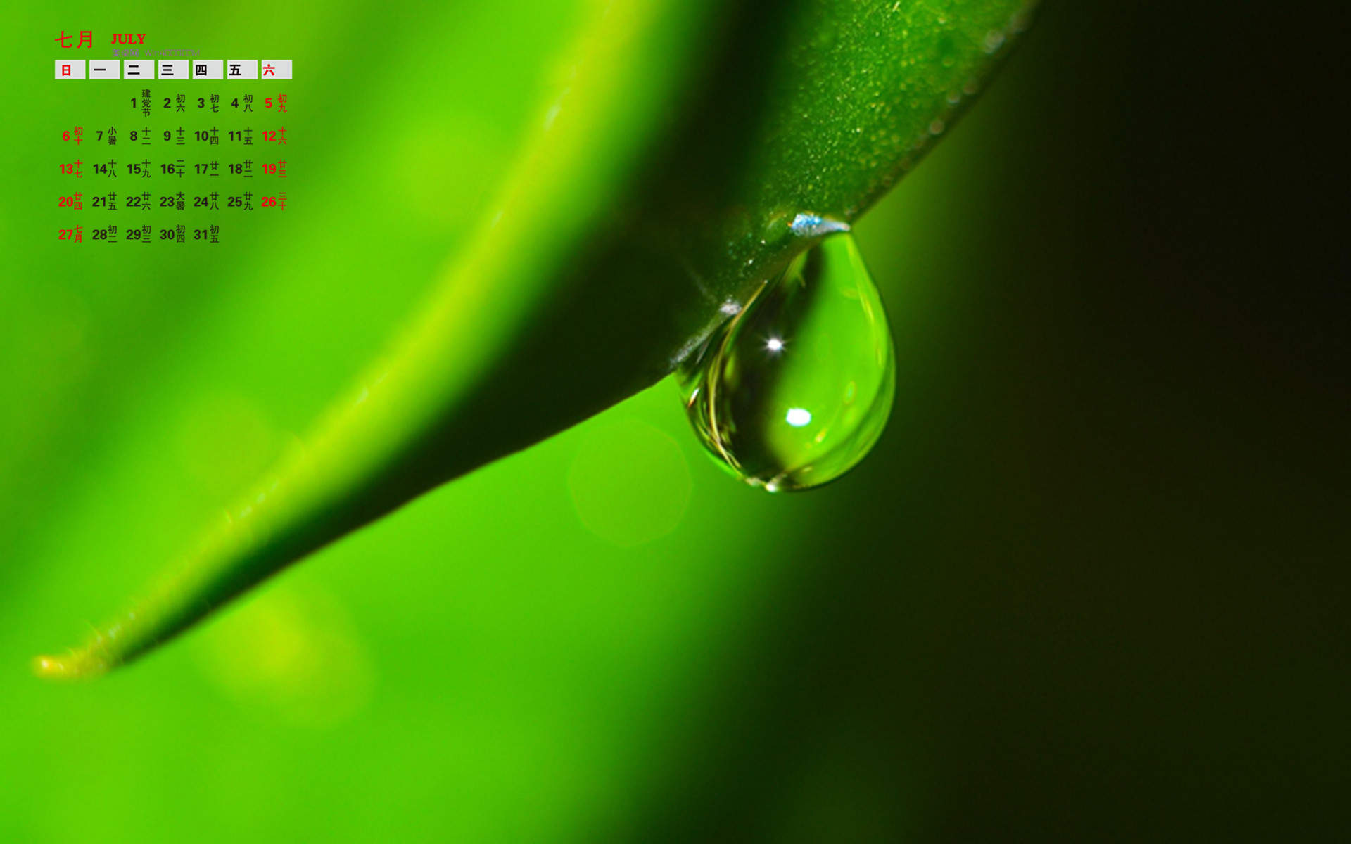 高清雨水清新护眼绿色水滴露珠高清桌面壁纸图片