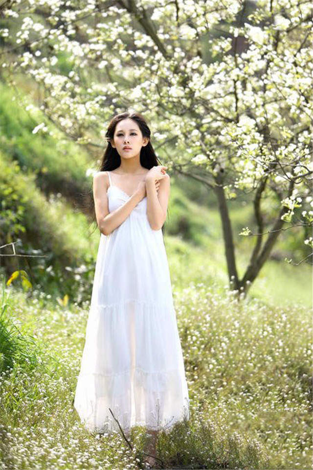 梨花图片图片