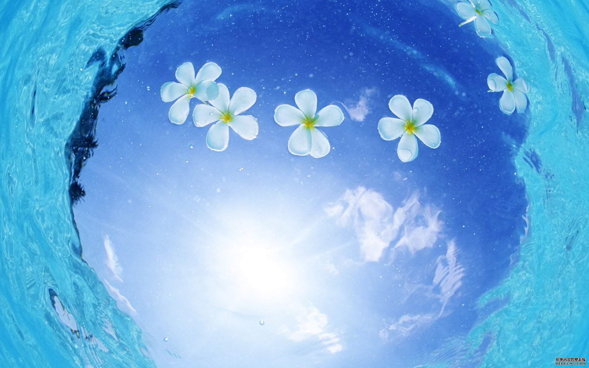 湛蓝纯净天空风景手机壁纸图片
