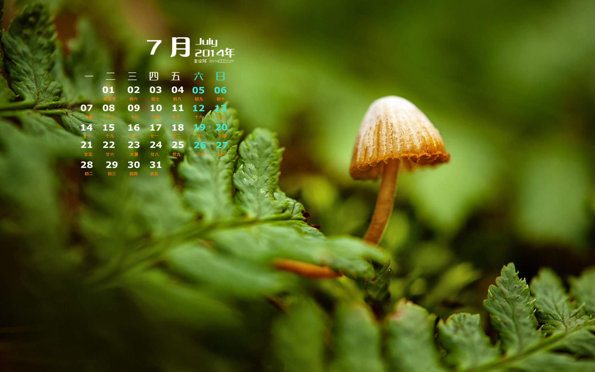 2014年10月日历壁纸唯美意境小清新初秋森林自然风光(三)图片