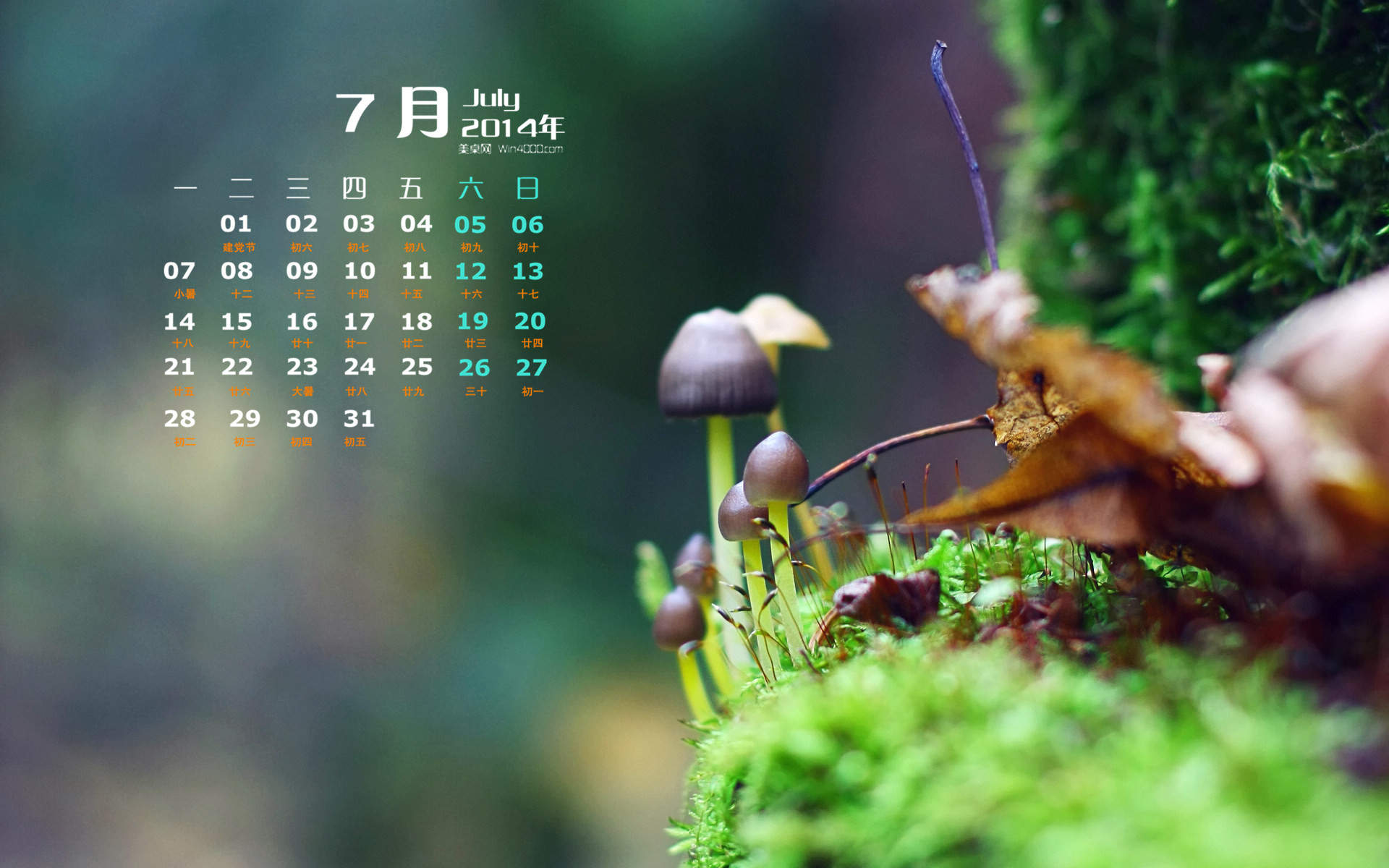 2014年10月日历壁纸唯美意境小清新初秋森林自然风光(三)图片